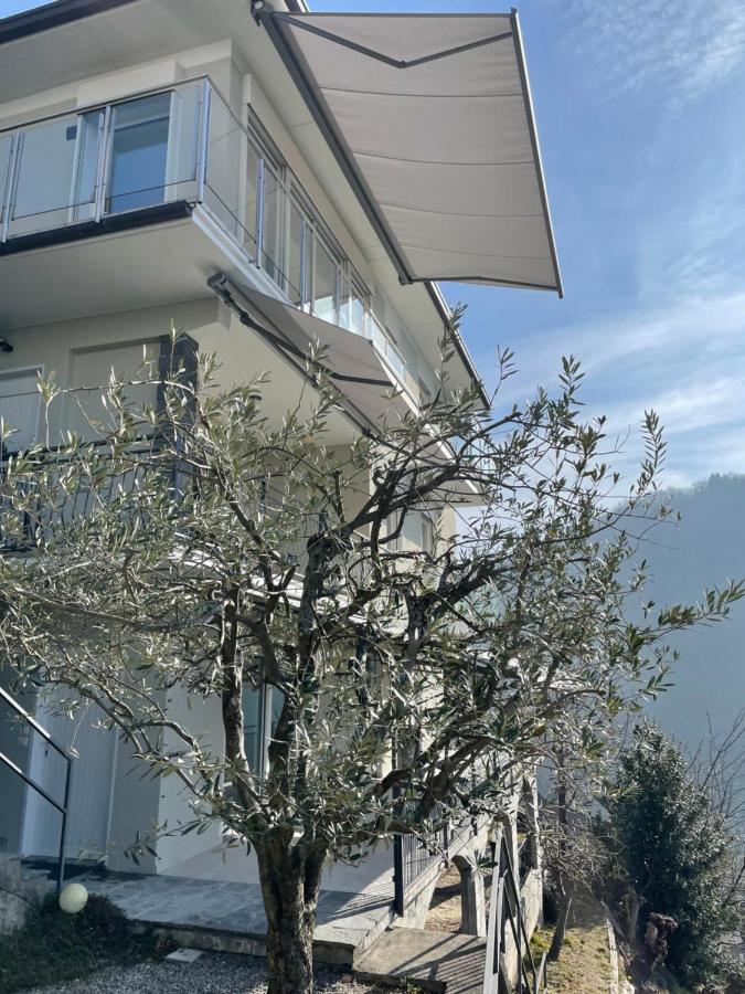 Casa Colmegna Mit Traumhaften See- Und Bergblick Luino Zewnętrze zdjęcie