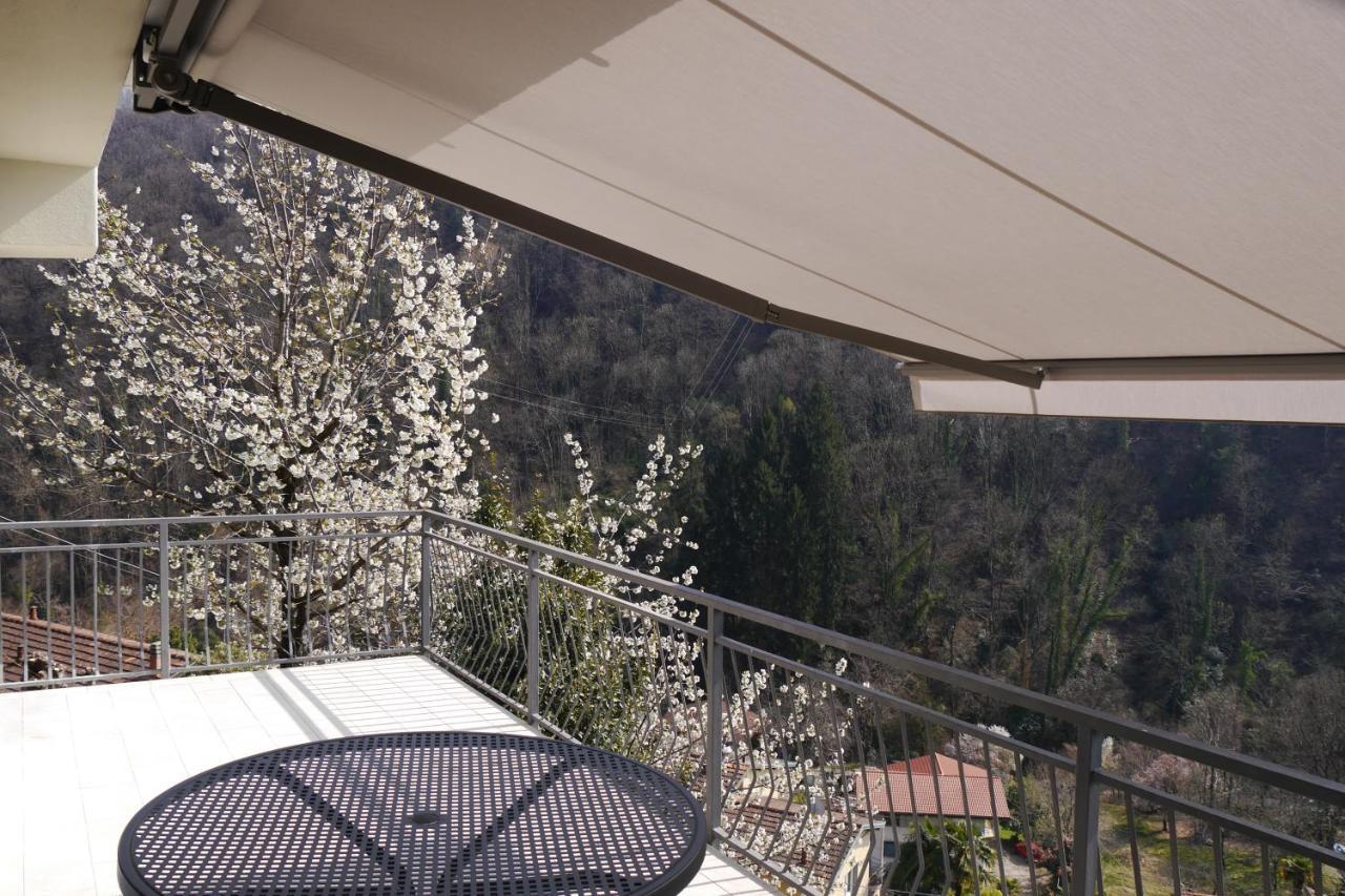 Casa Colmegna Mit Traumhaften See- Und Bergblick Luino Zewnętrze zdjęcie